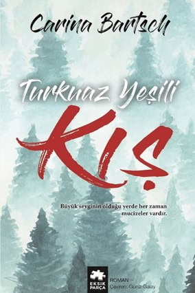 Cover Carina Bartsch: Türkisgrüner Winter (Eksik Parca, Türkei)